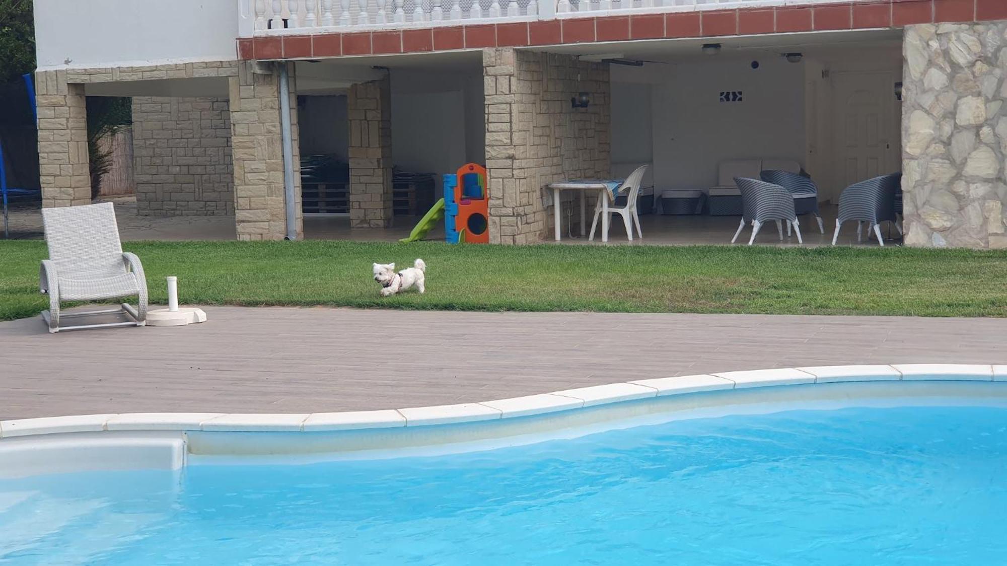 סאלו Villa Privada La Pedrereta מראה חיצוני תמונה